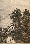 Офорт Шишкина И.И. "Болото", 1892 год. Офорт Шишкина И.И. "Болото", 1892 год.