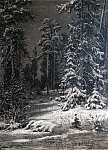 Офорт Шишкина И.И. "Зимняя лунная ночь" Офорт Шишкина И.И. "Зимняя лунная ночь"