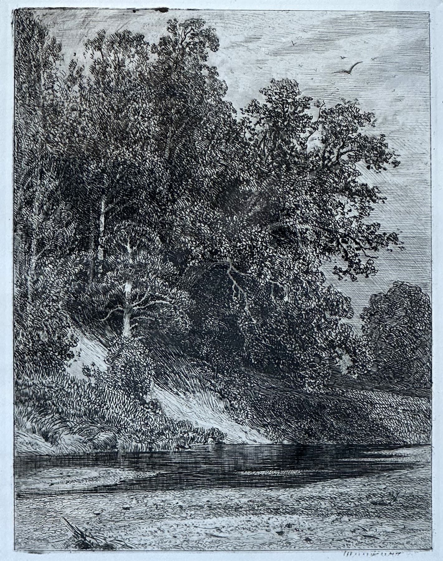 Лес на крутом берегу, автор Шишкин Иван Иванович (1832-1898), Графика — миниатюра 2