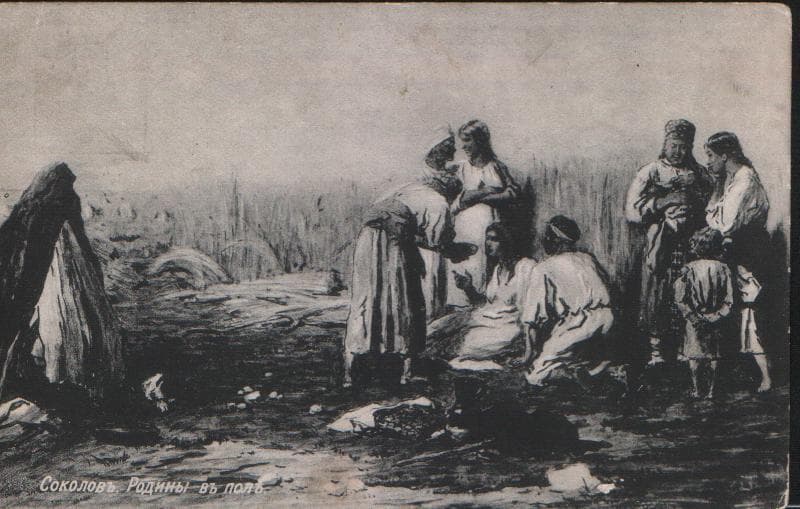 Родины в поле. - Антикварные открытки