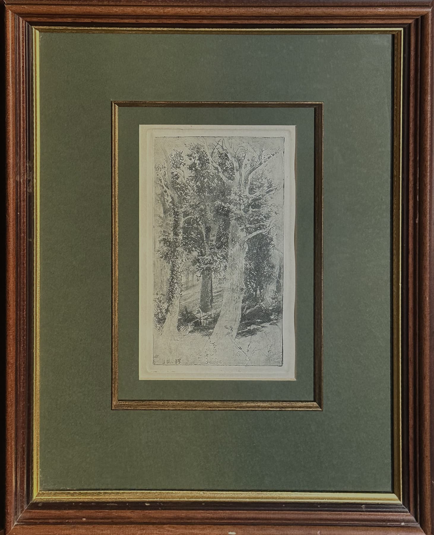 Этюд, автор Шишкин Иван Иванович (1832-1898), Графика