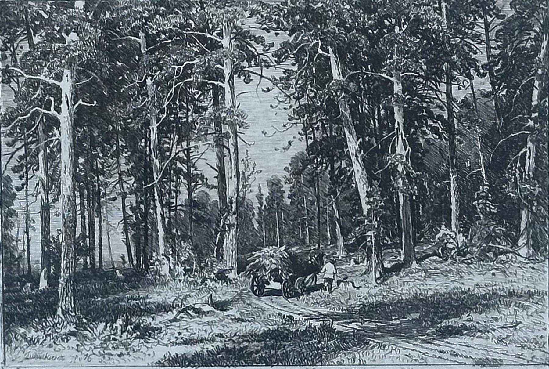 Окраина сосновой рощи, автор Шишкин Иван Иванович (1832-1898), Графика — миниатюра 2