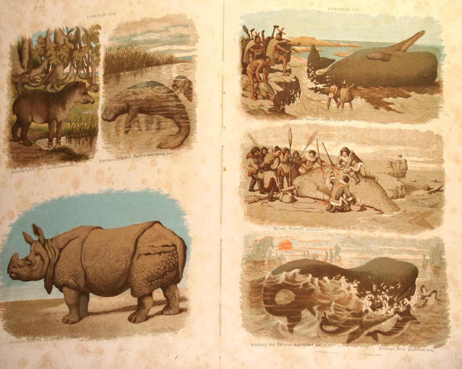 Миниатюра изображения 3