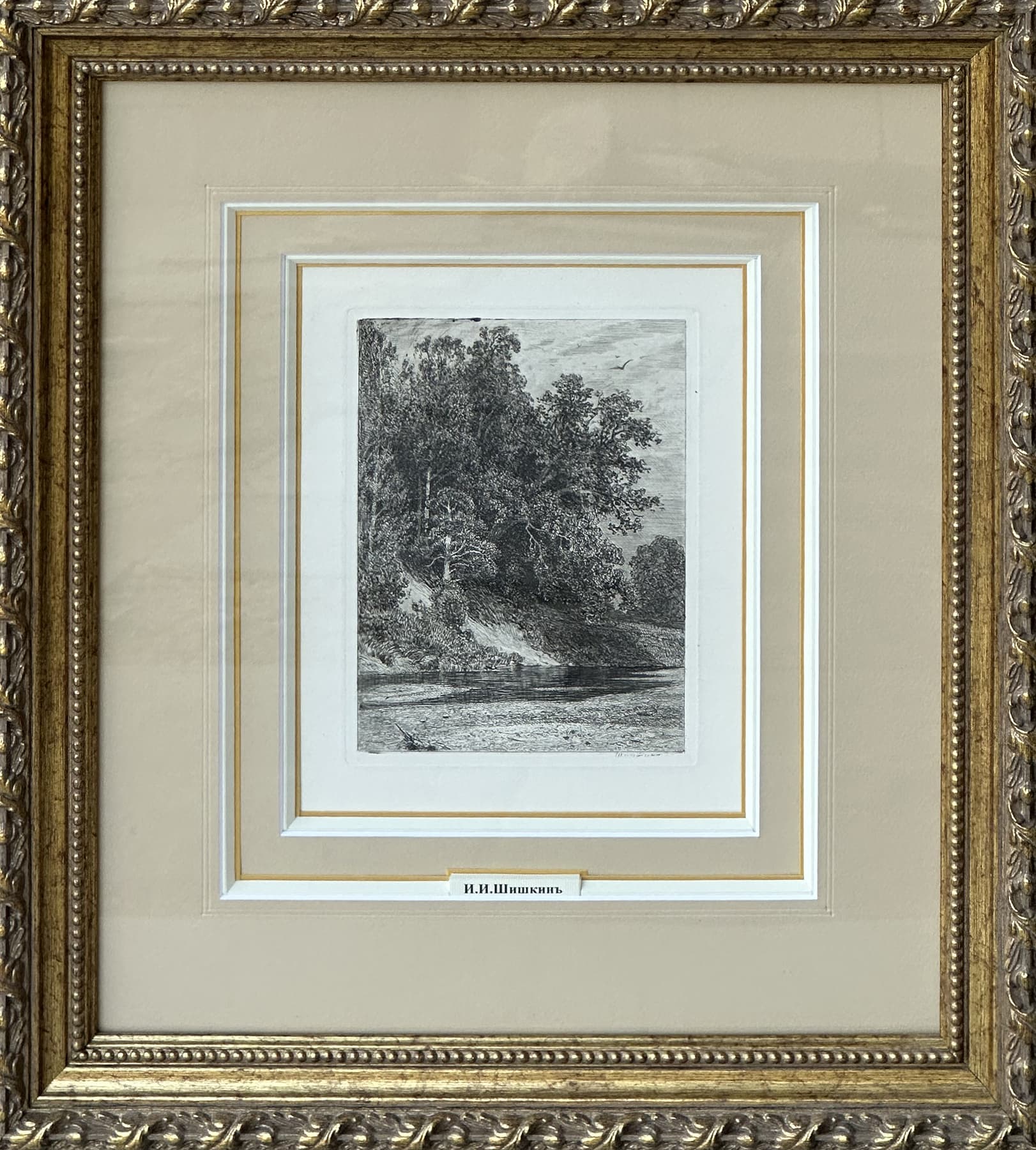 Лес на крутом берегу, автор Шишкин Иван Иванович (1832-1898), Графика