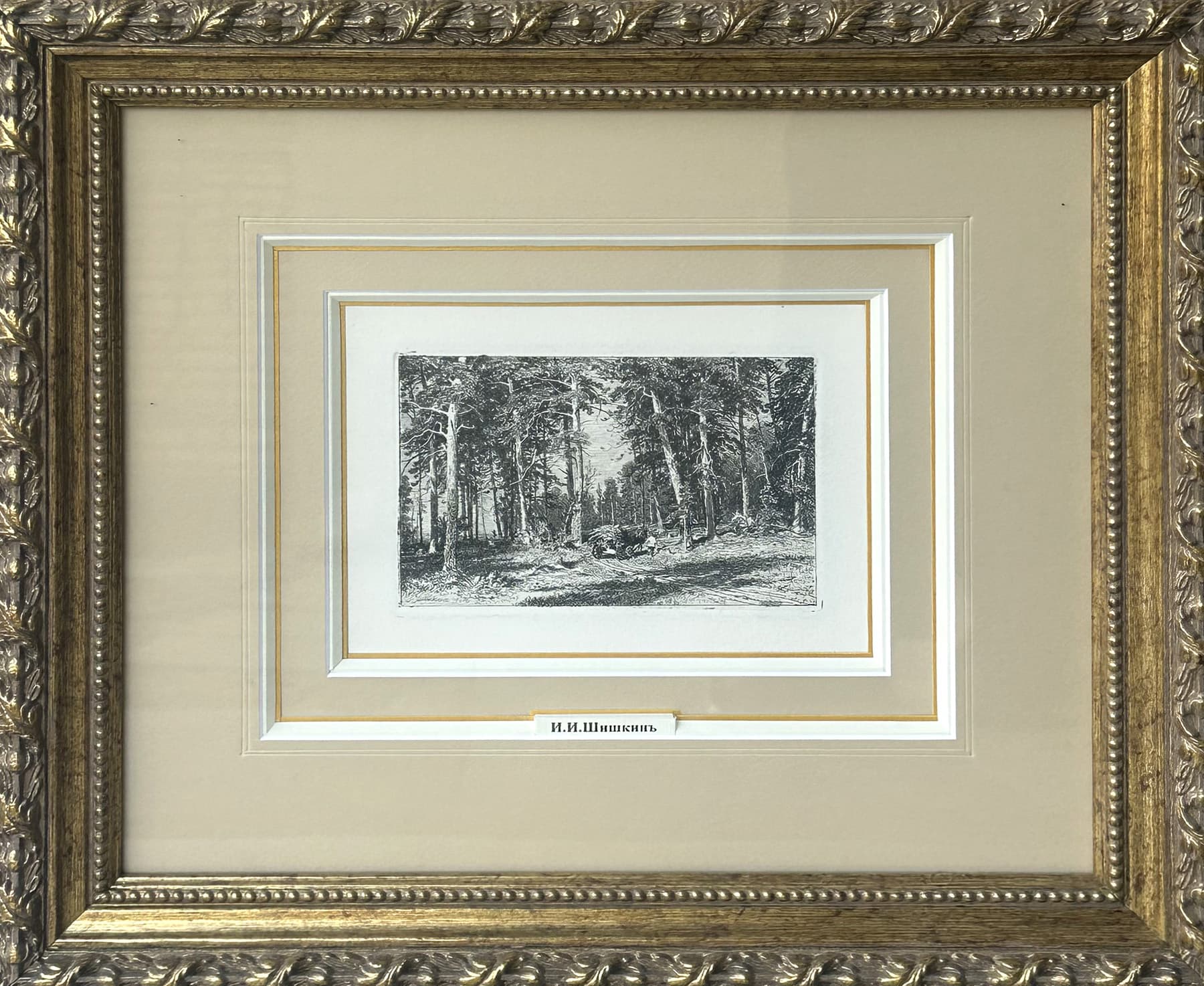 Окраина сосновой рощи, автор Шишкин Иван Иванович (1832-1898), Графика